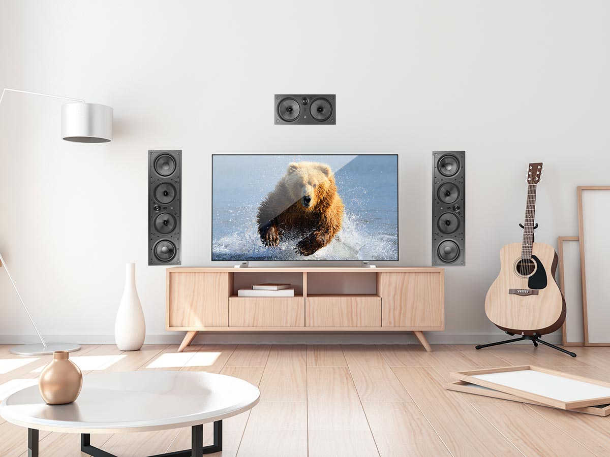 A Bear on TV