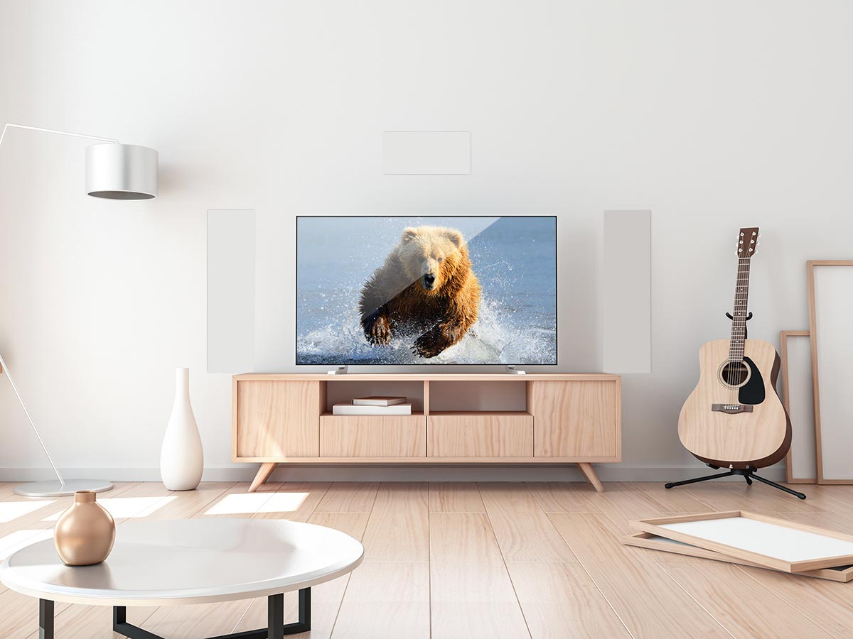 An Bear on TV